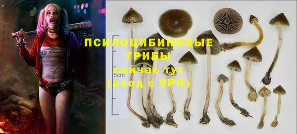 метадон Елизово