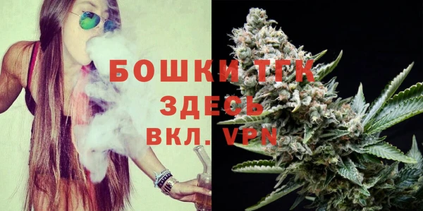 молекула духа Ельня