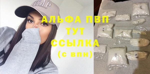 спайс Инта