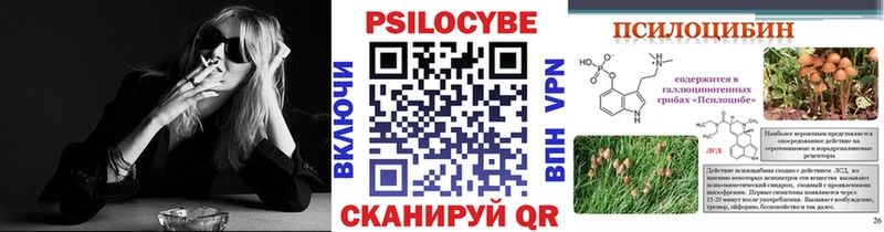 Псилоцибиновые грибы Magic Shrooms  Ядрин 